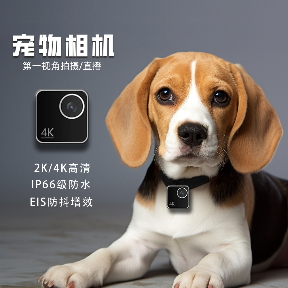 Câmera inteligente para animai - Cameras avaliação e preço