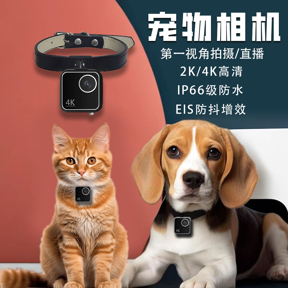 Câmera inteligente para animai - Cameras avaliação e preço